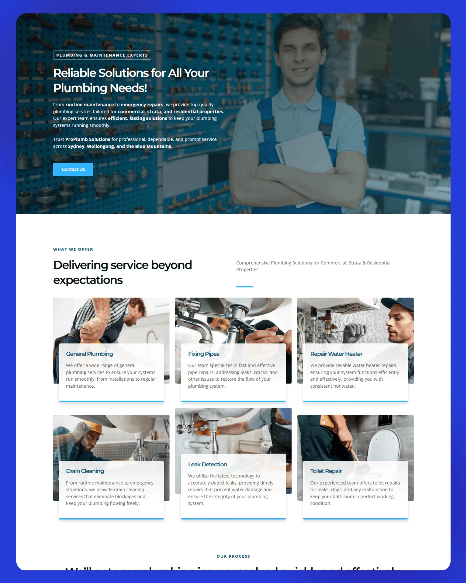 ProPlumb Solutions Website 1