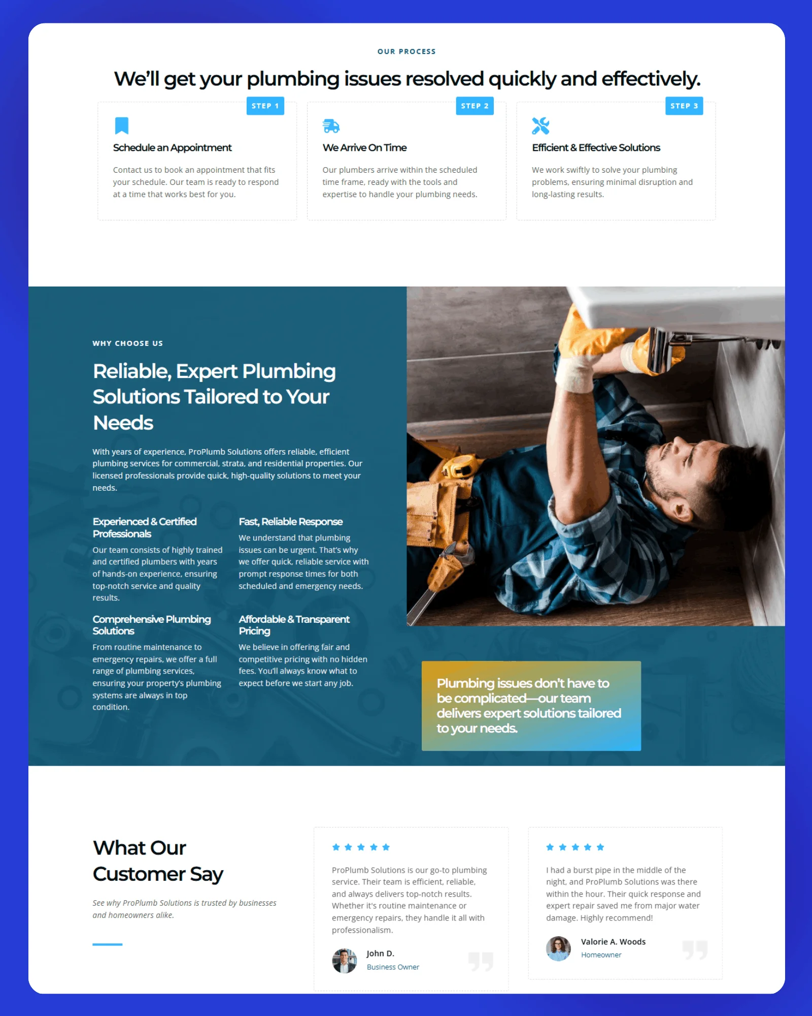 ProPlumb Solutions Website 2